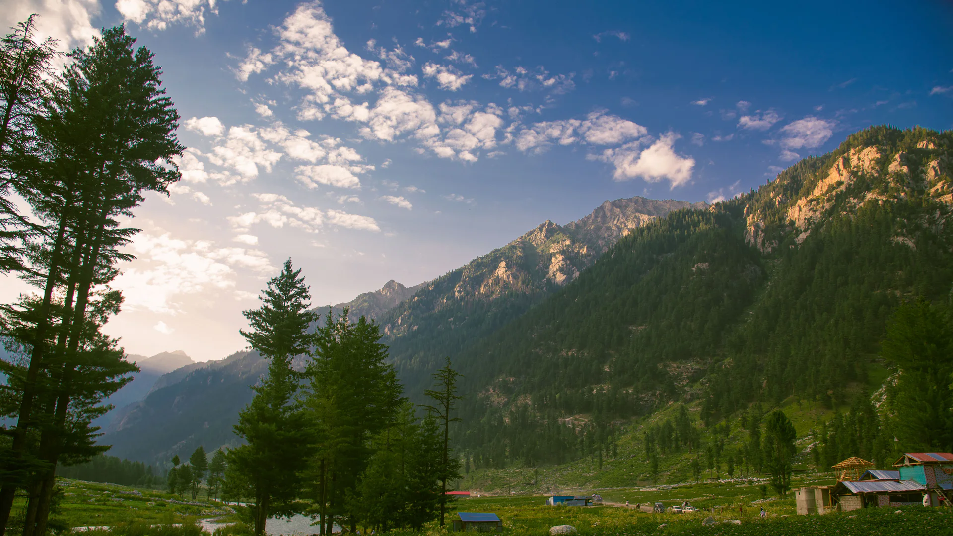 Green mountains and deodar forest filling Kumrat Valley