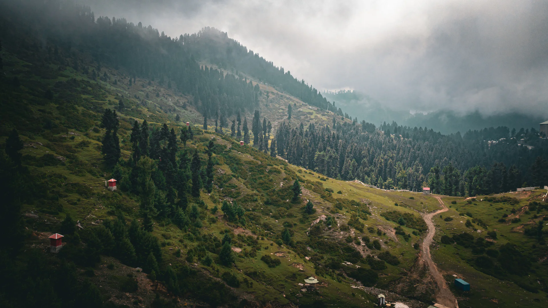 Forested mountain ridges rising above Malam Jabba