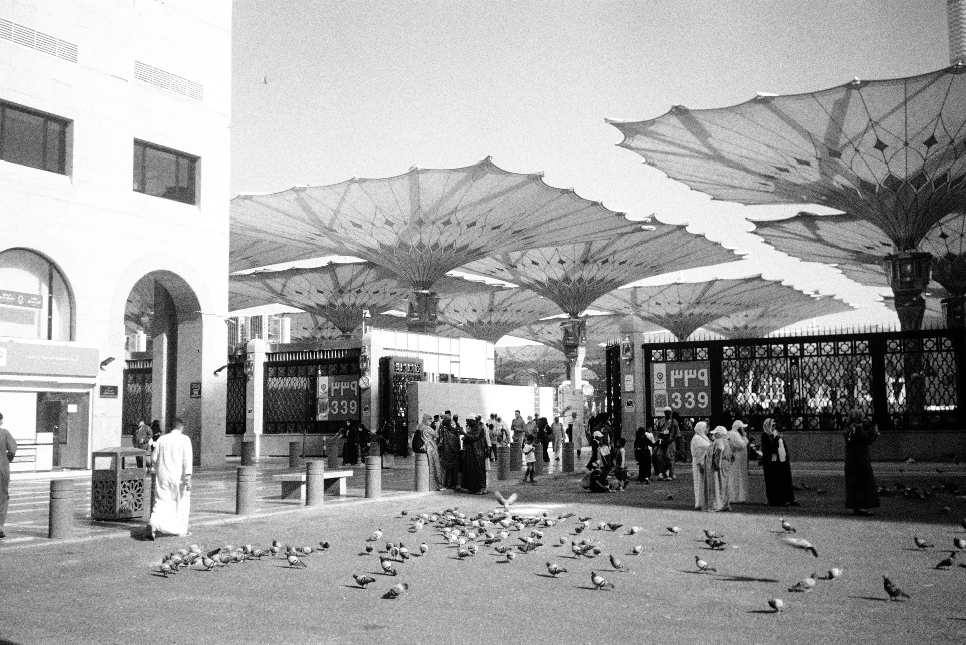 The umbrella-covered courtyard of Al-Masjid an-Nabawi in Madinah